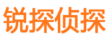 花山市私家侦探